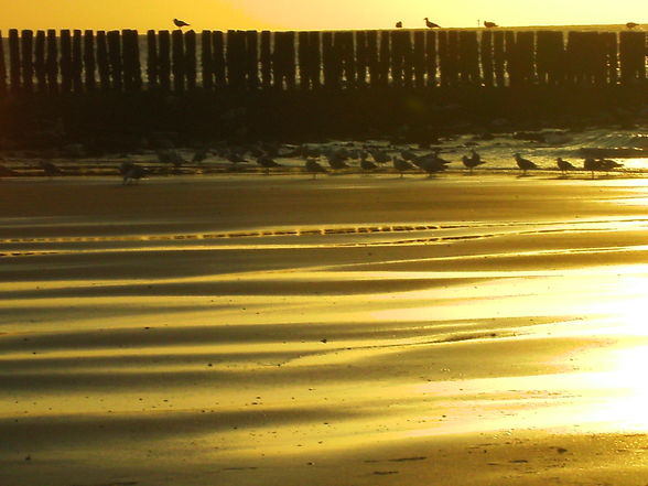 Zomer 2008, Stage Cadzand-Bad - 