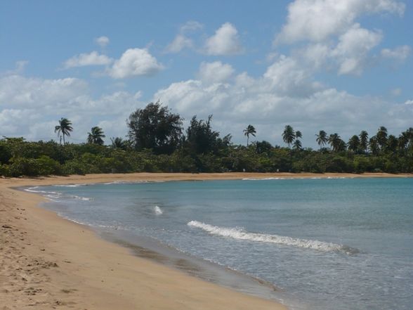 urlaub in puerto rico - 