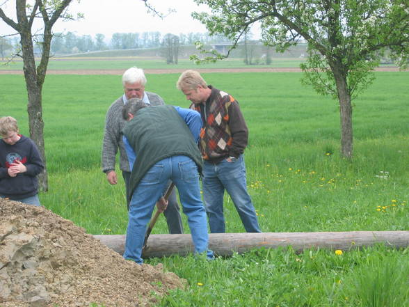 Maibaum 2006 - 