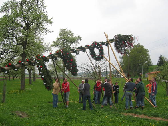 Maibaum 2006 - 