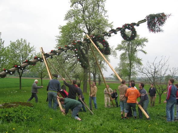 Maibaum 2006 - 