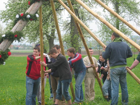 Maibaum 2006 - 