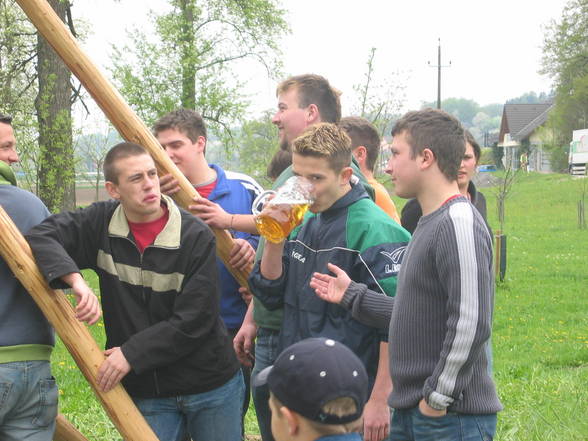 Maibaum 2006 - 