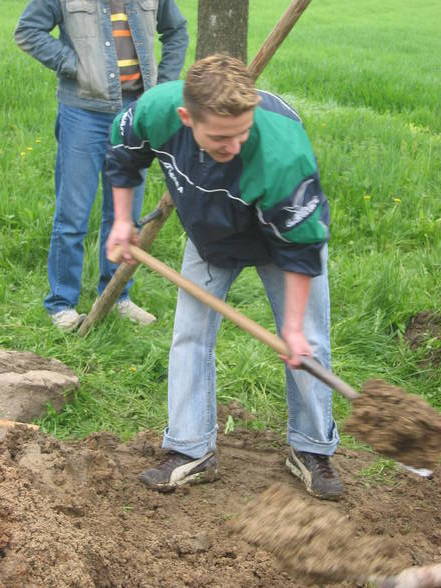 Maibaum 2006 - 