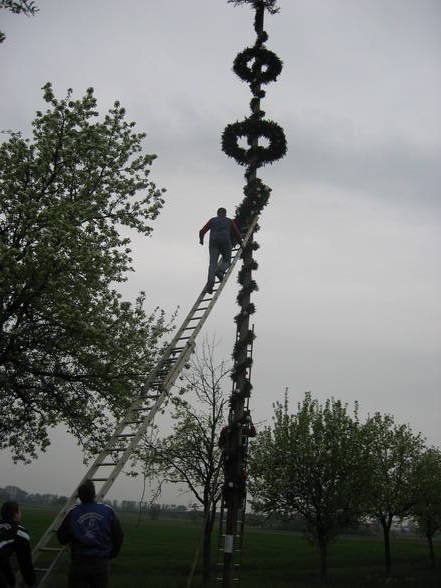 Maibaum 2006 - 