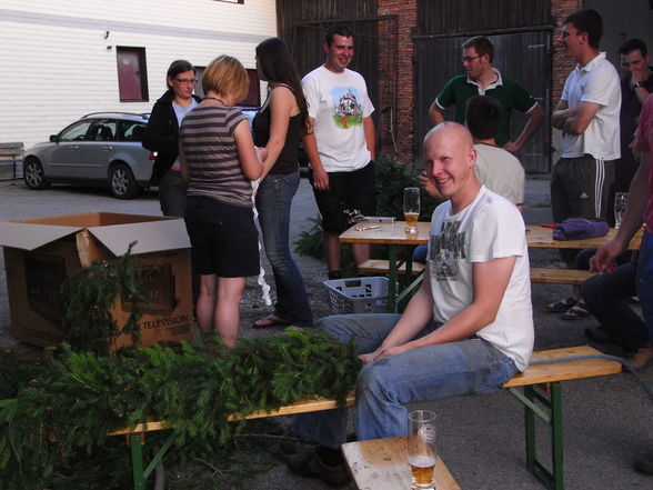 MaiBaum Binden+ZurückBringen... - 