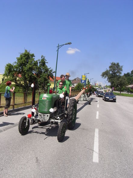 MaiBaum Binden+ZurückBringen... - 