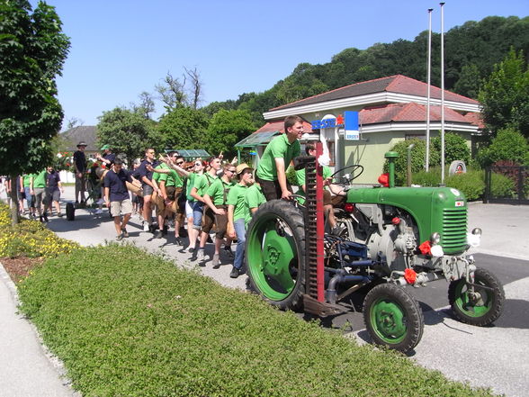 MaiBaum Binden+ZurückBringen... - 