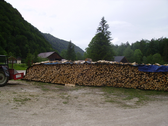 Forst, Holzmachen - 