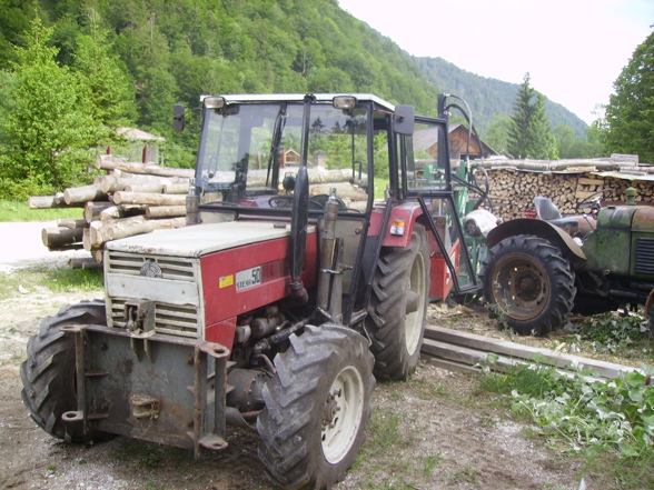 Forst, Holzmachen - 