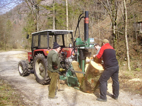 Forst, Holzmachen - 