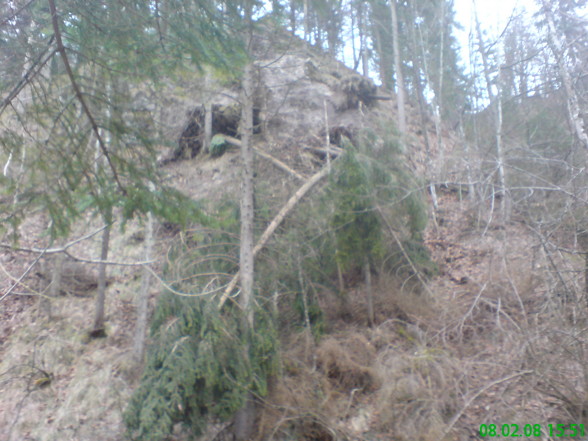 Forst, Holzmachen - 