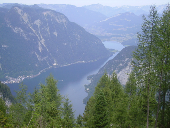 Hütte Krippenstein - 