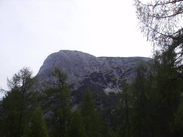 Hütte Krippenstein - 