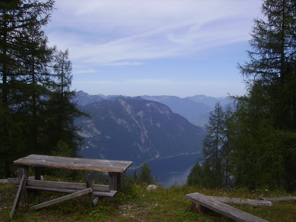 Hütte Krippenstein - 