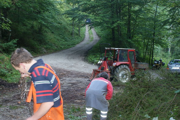 Lärchen schlägern im Tießenbach - 