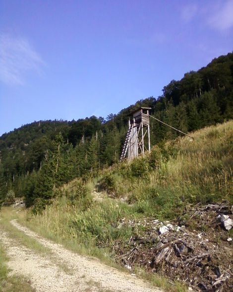 Meine Arbeit in Grünau beim Herzog - 