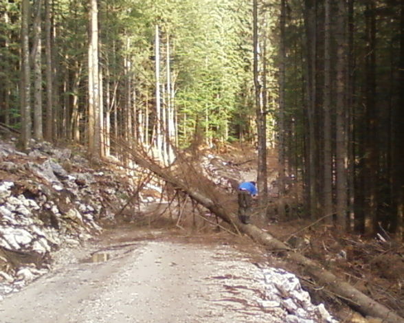 Meine Arbeit in Grünau beim Herzog - 