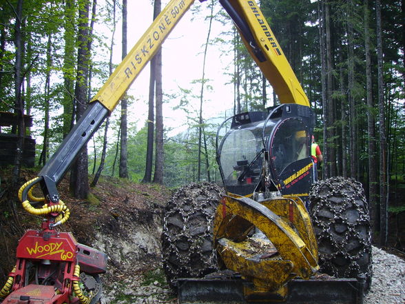 Meine Arbeit in Grünau beim Herzog - 