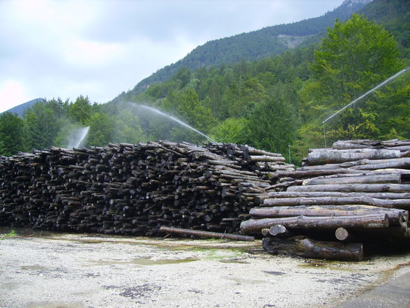 Meine Arbeit in Grünau beim Herzog - 