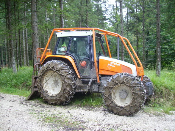 Meine Arbeit in Grünau beim Herzog - 