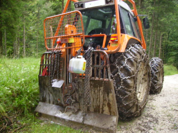 Meine Arbeit in Grünau beim Herzog - 