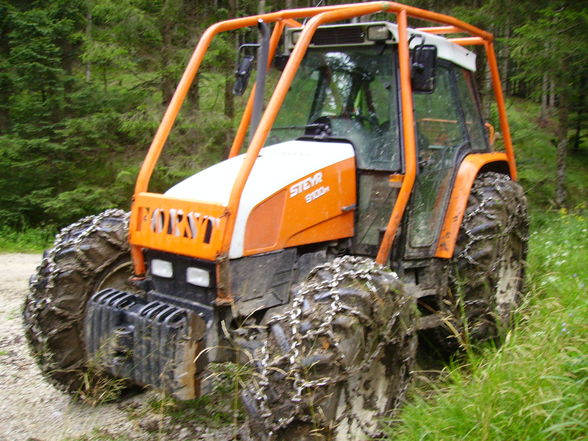 Meine Arbeit in Grünau beim Herzog - 