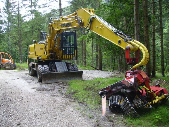 Meine Arbeit in Grünau beim Herzog - 