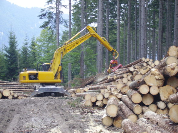 Meine Arbeit in Grünau beim Herzog - 