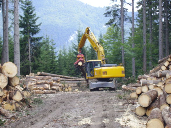 Meine Arbeit in Grünau beim Herzog - 