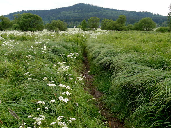 Bike-Ausflug GER - 