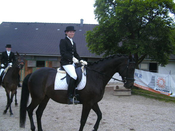 Rainbach Dressur 2009 - 