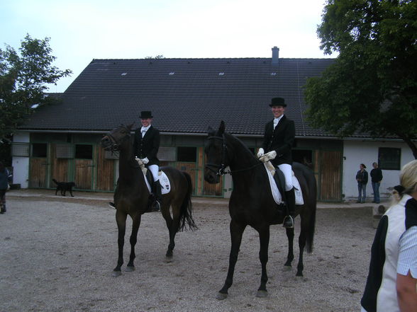 Rainbach Dressur 2009 - 