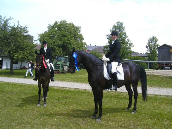 Rainbach Dressur 2009 - 