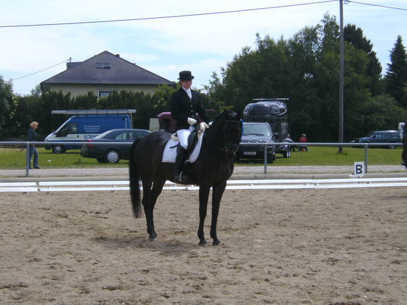 Rainbach Dressur 2009 - 