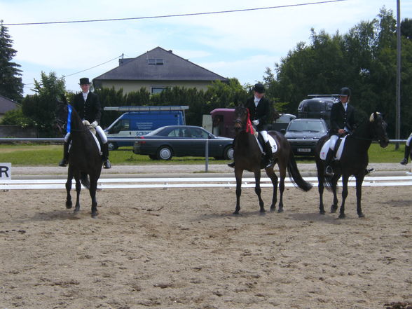 Rainbach Dressur 2009 - 