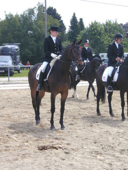 Rainbach Dressur 2009 - 