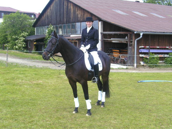 Rainbach Dressur 2009 - 