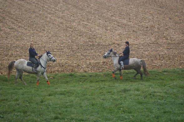 Hoppas beim Fotograf - 