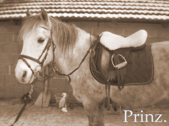 Priinz ? - 