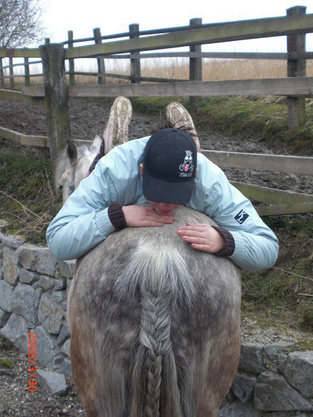 Pony´s im Frühling (= - 