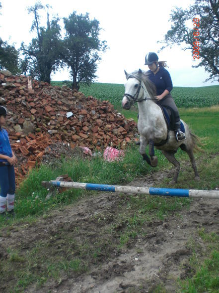 Pony`s haben Besuch... - 