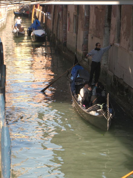 Karneval in Venedig 2009 - 