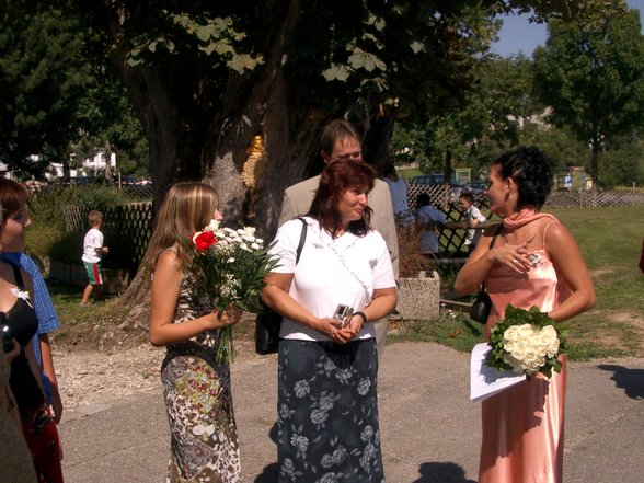 meine hochzeit - 