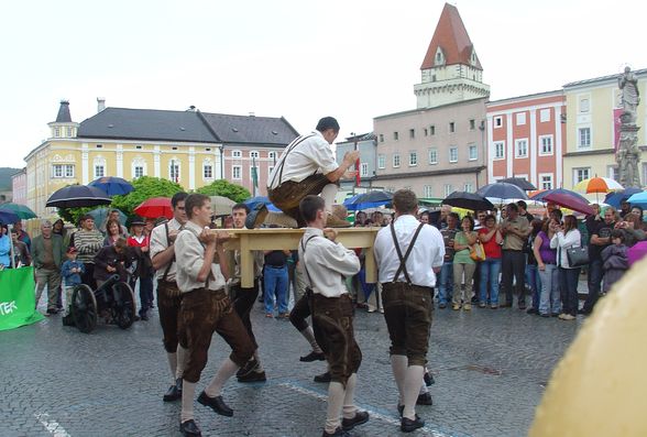 "Lasberger" Schurchplatla - 