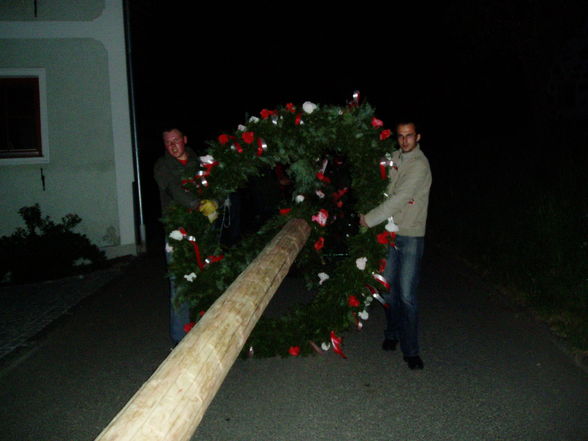 Loibersdorfer Maibaum Diebstahl 2009 - 