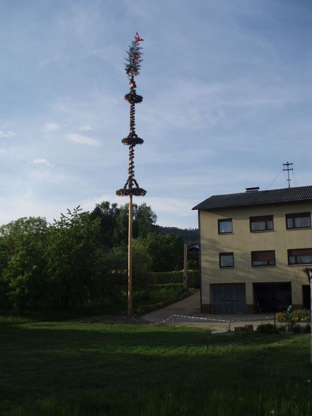 Loibersdorfer Maibaum Diebstahl 2009 - 