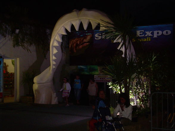 Shark Expo - 