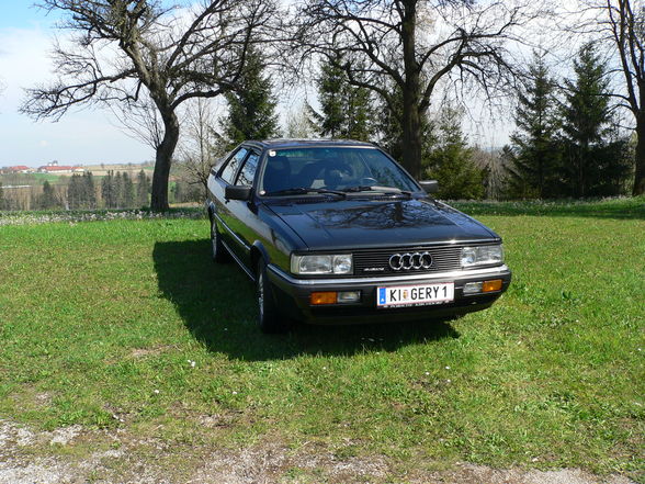 Quattro rules - 