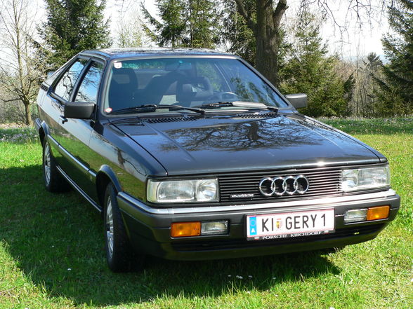 Quattro rules - 